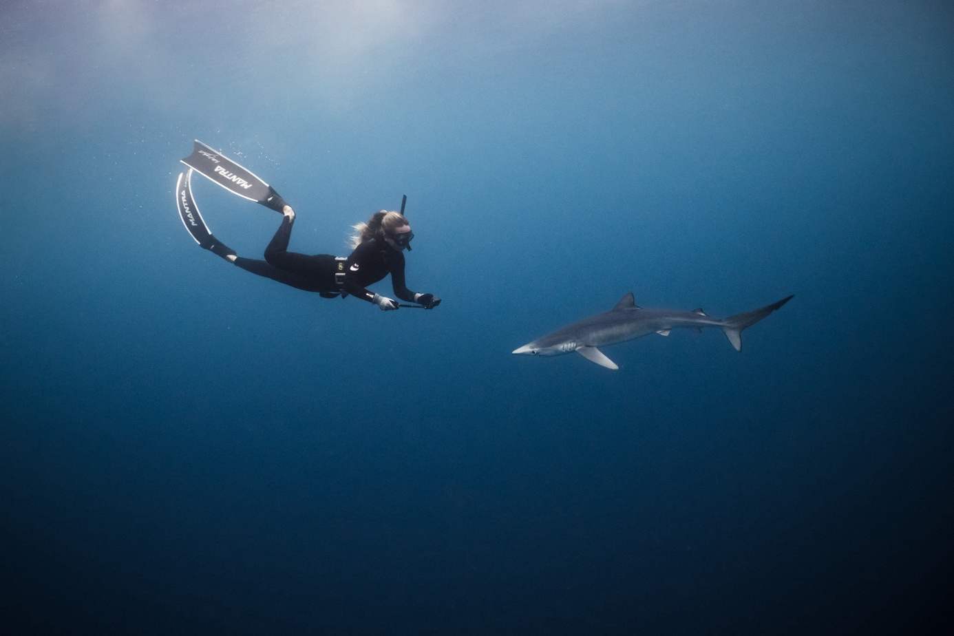 Apnéiste photographiant un requin bleu en pleine eau